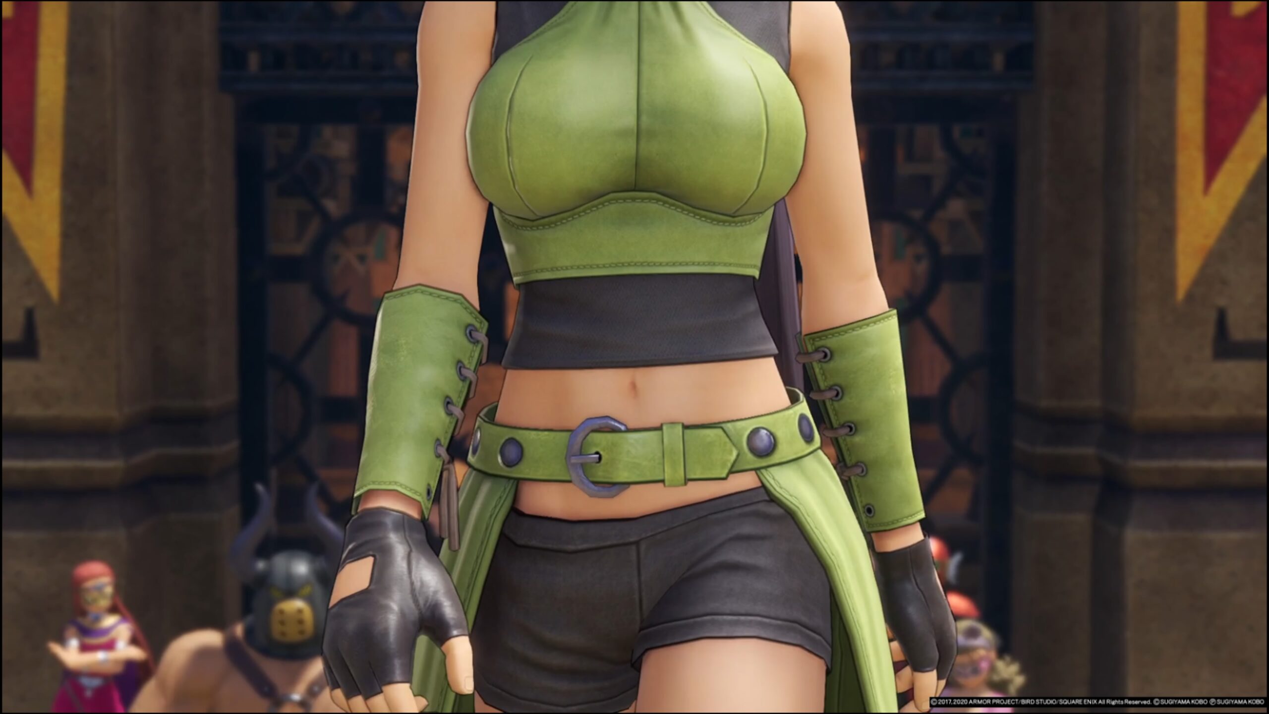 ドラゴンクエスト11 過ぎ去りし時を求めて